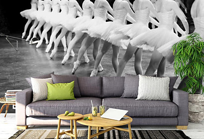 Fototapeta Ballerina 1238